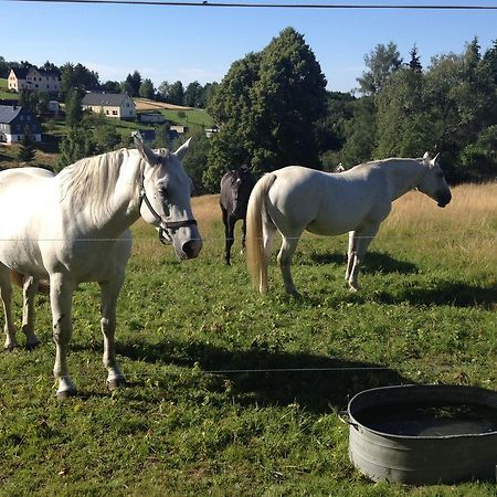 Ferienwohnung Unger Stützengrün Kültér fotó