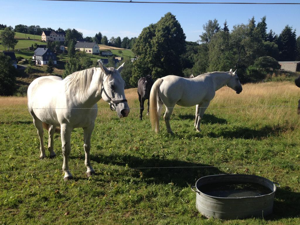 Ferienwohnung Unger Stützengrün Kültér fotó